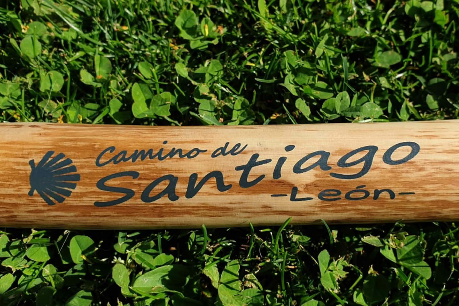 foto del viaje: Camino Francés a pie en grupo desde León hasta Santiago: 5+ 1 etapas
